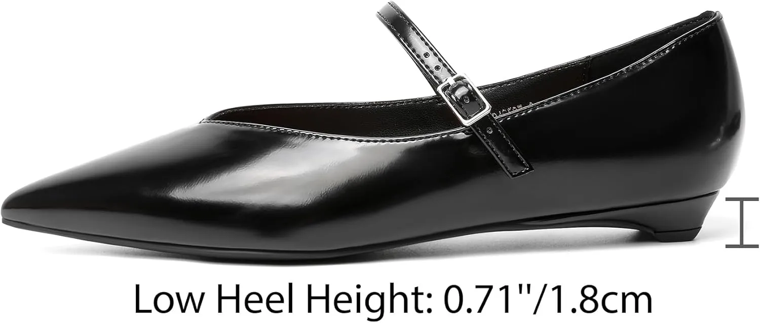 Reitoye Flats for Womens Closed Pointed Toe Ballet Flat Comfortable Dressy Work Slip On Casual Shoes Womens Flats